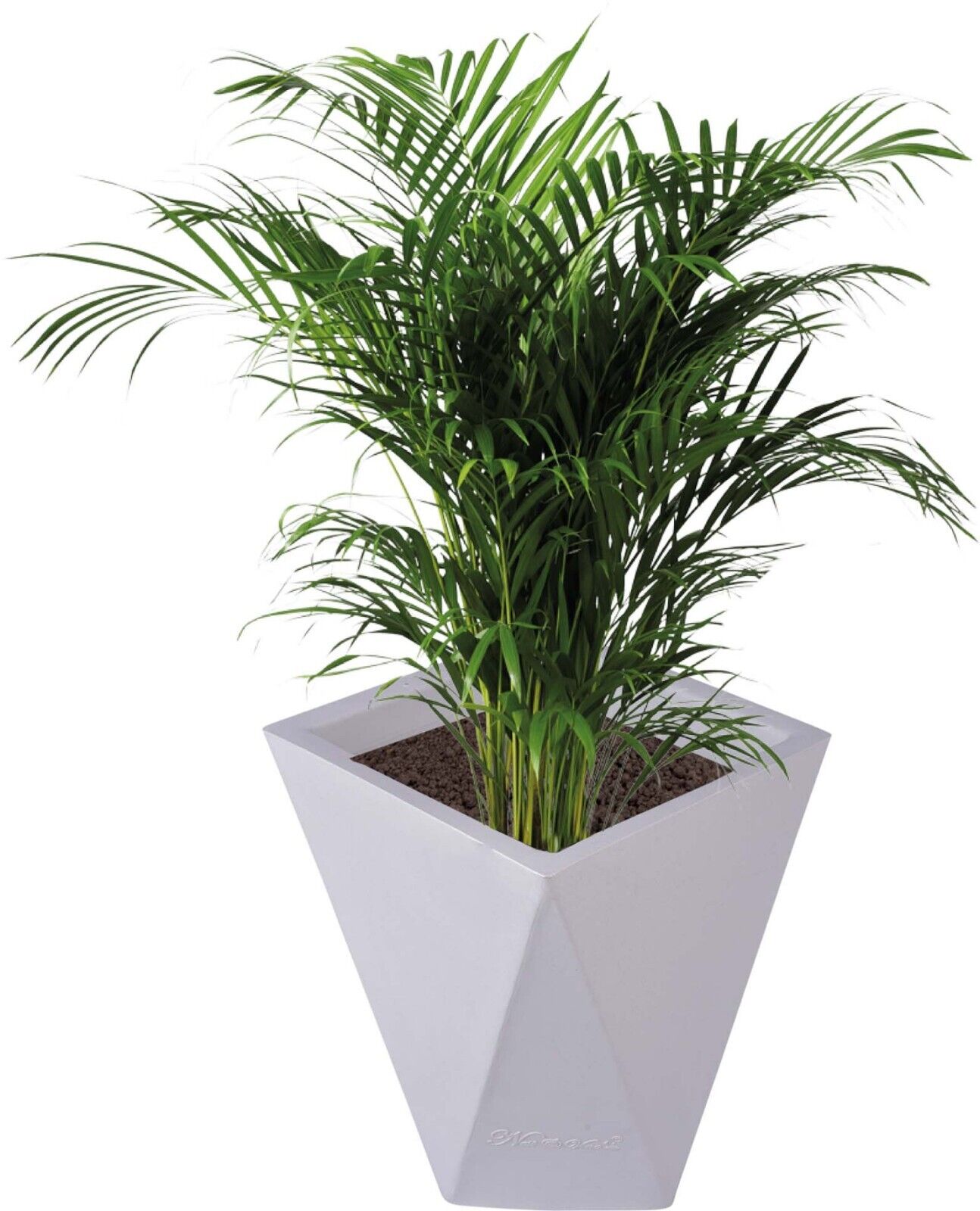Fantasia Planter Pot - Diamond Shaped & Light Weight