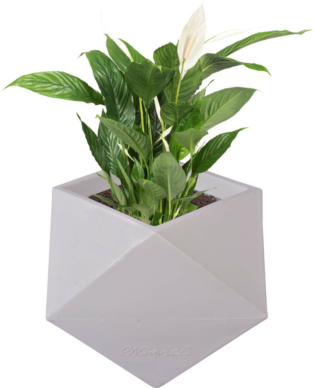 Diamanti Pot / Planter - Diamond Shape & Light Weight