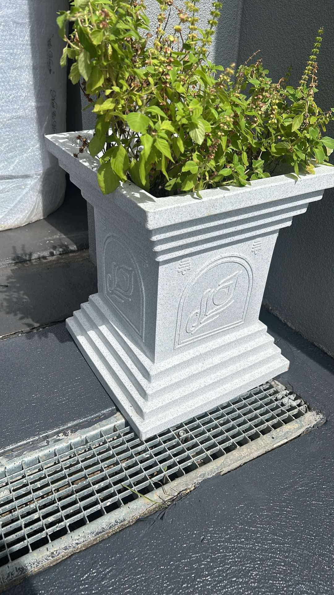 Tulsi Planter / Kyara / Pot