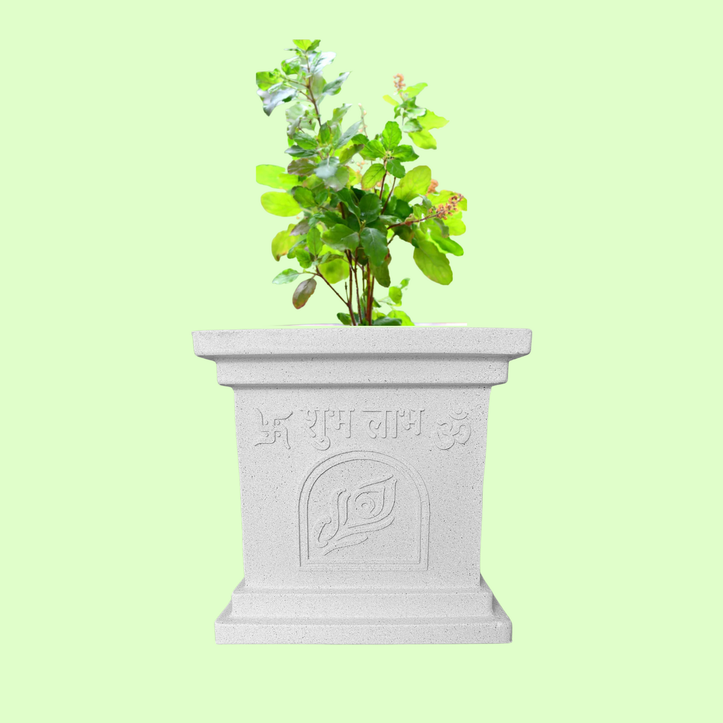 Tulsi Planter / Kyara / Pot