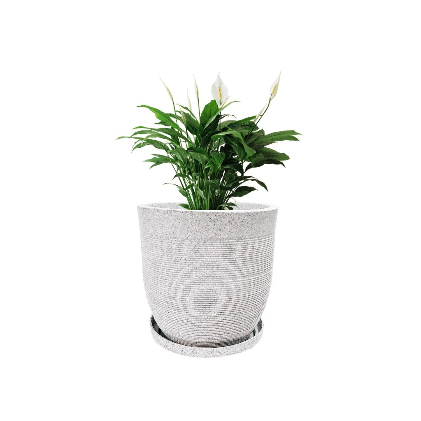 Orbis Pot / Planter - Light Weight  & Circular design that exudes simplicity