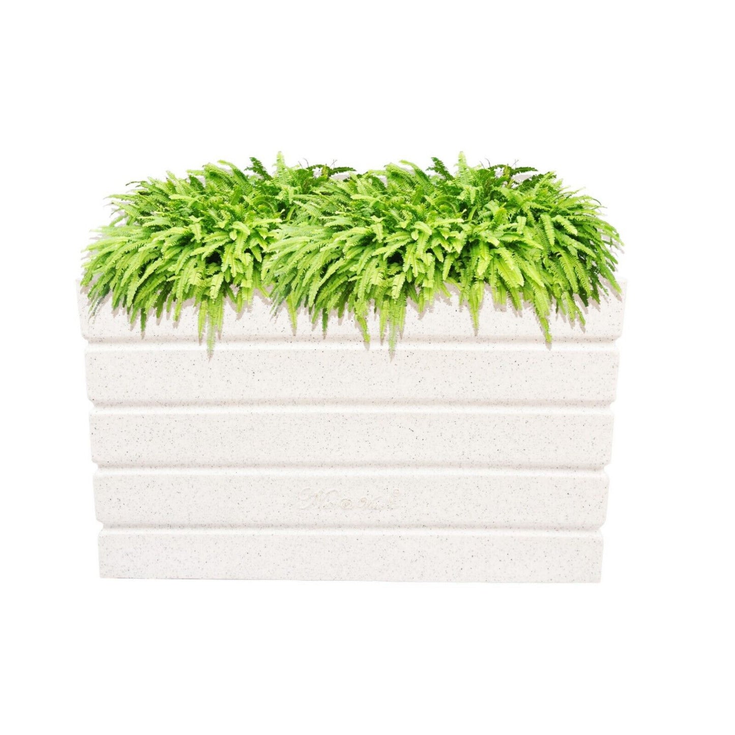 Iris Pot / Planter - Rectangle Shaped & Light Weight