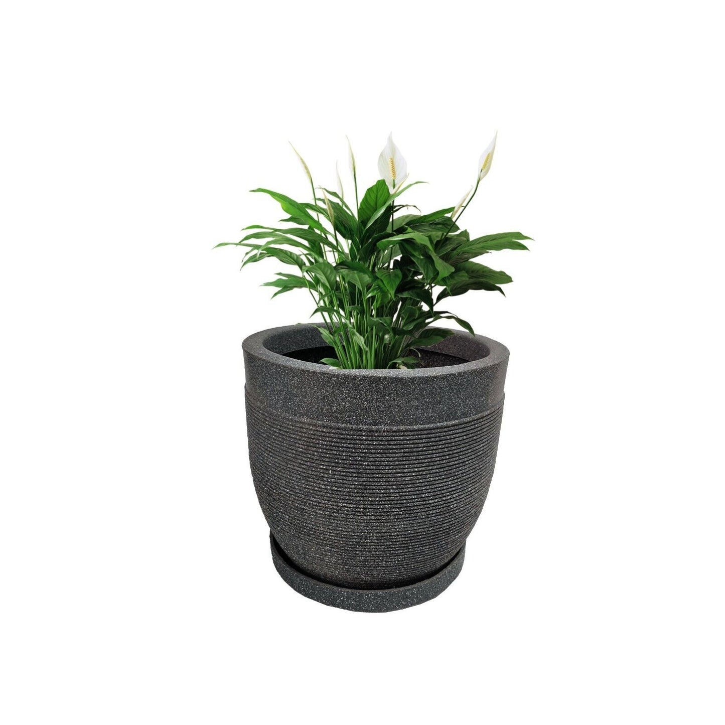 Orbis Pot / Planter - Light Weight  & Circular design that exudes simplicity