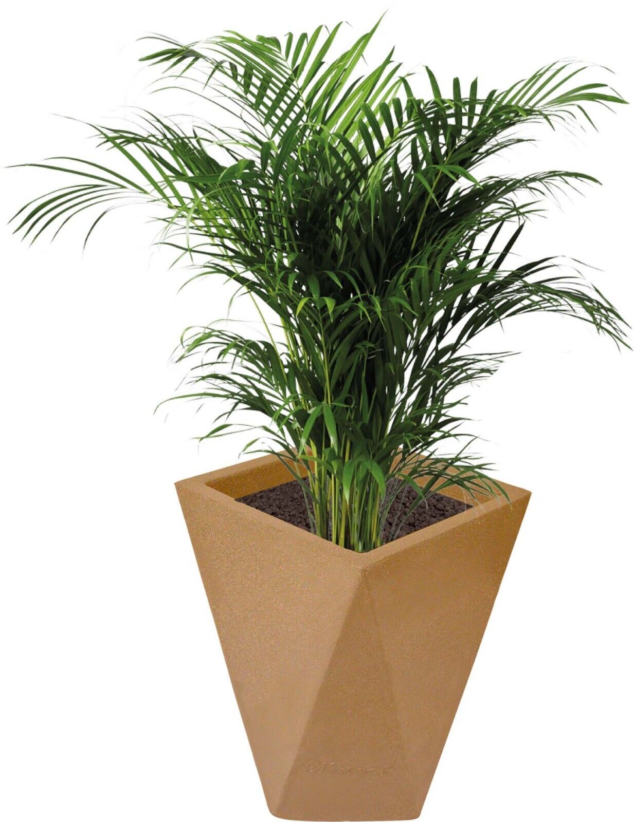 Fantasia Planter Pot - Diamond Shaped & Light Weight