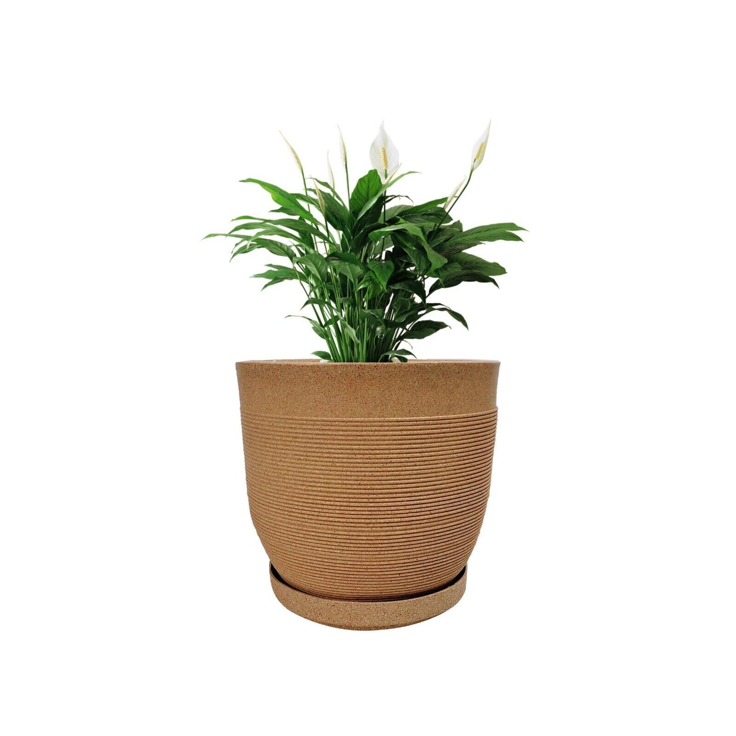Orbis Pot / Planter - Light Weight  & Circular design that exudes simplicity