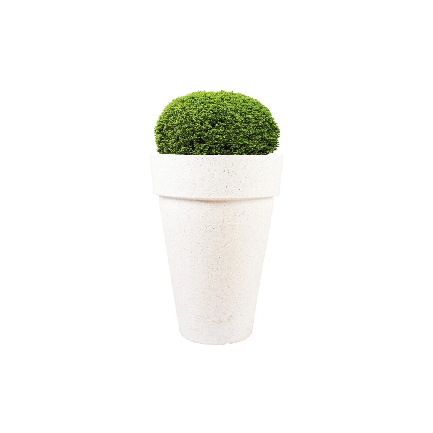 Stemma Planter - Elegant & magnificent crown like top Pot