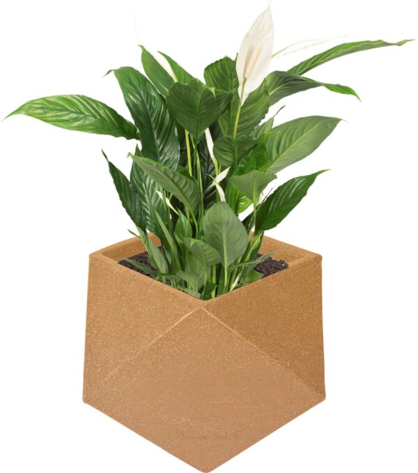 Diamanti Pot / Planter - Diamond Shape & Light Weight