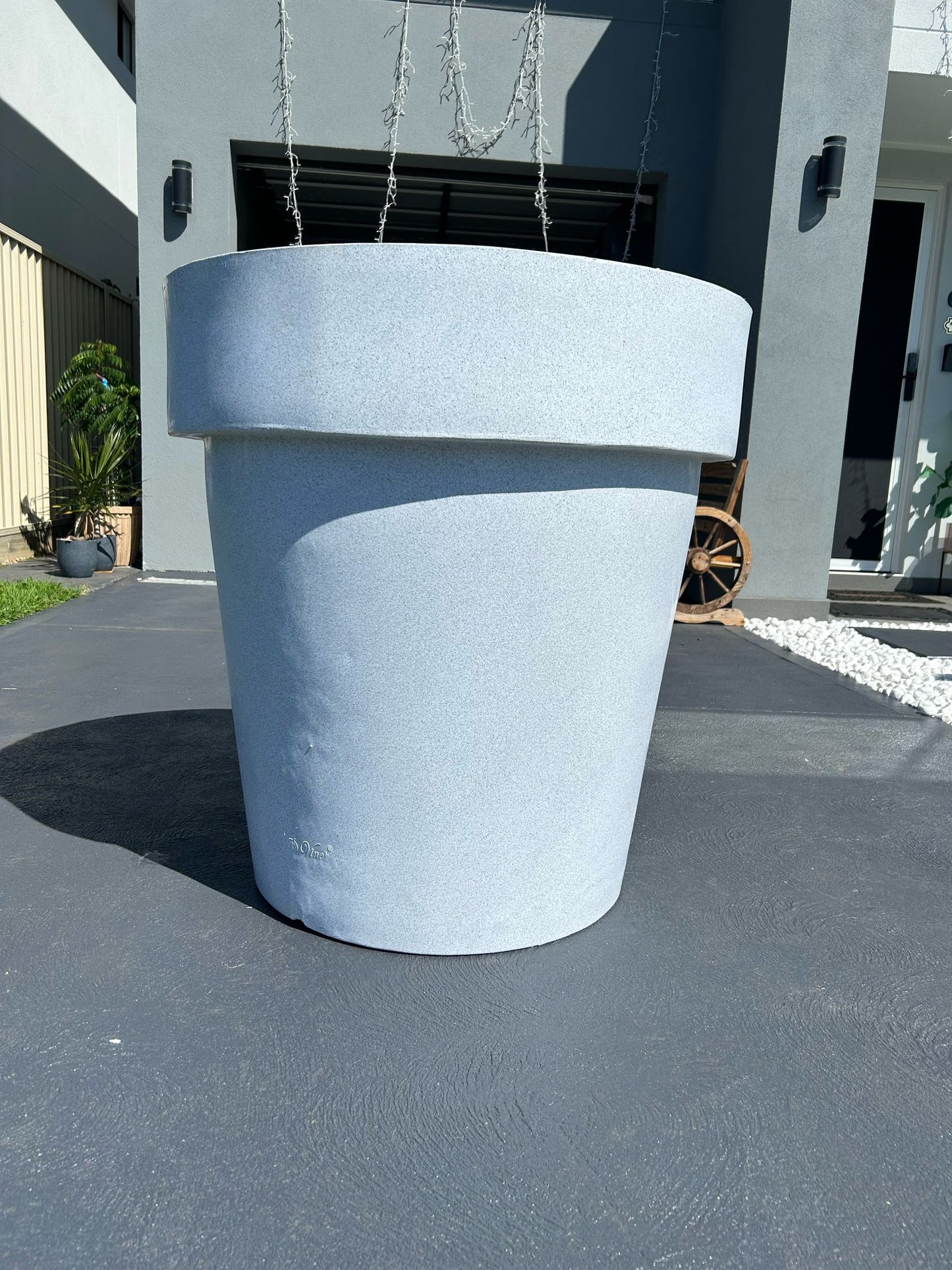 Stemma Planter - Elegant & magnificent crown like top Pot