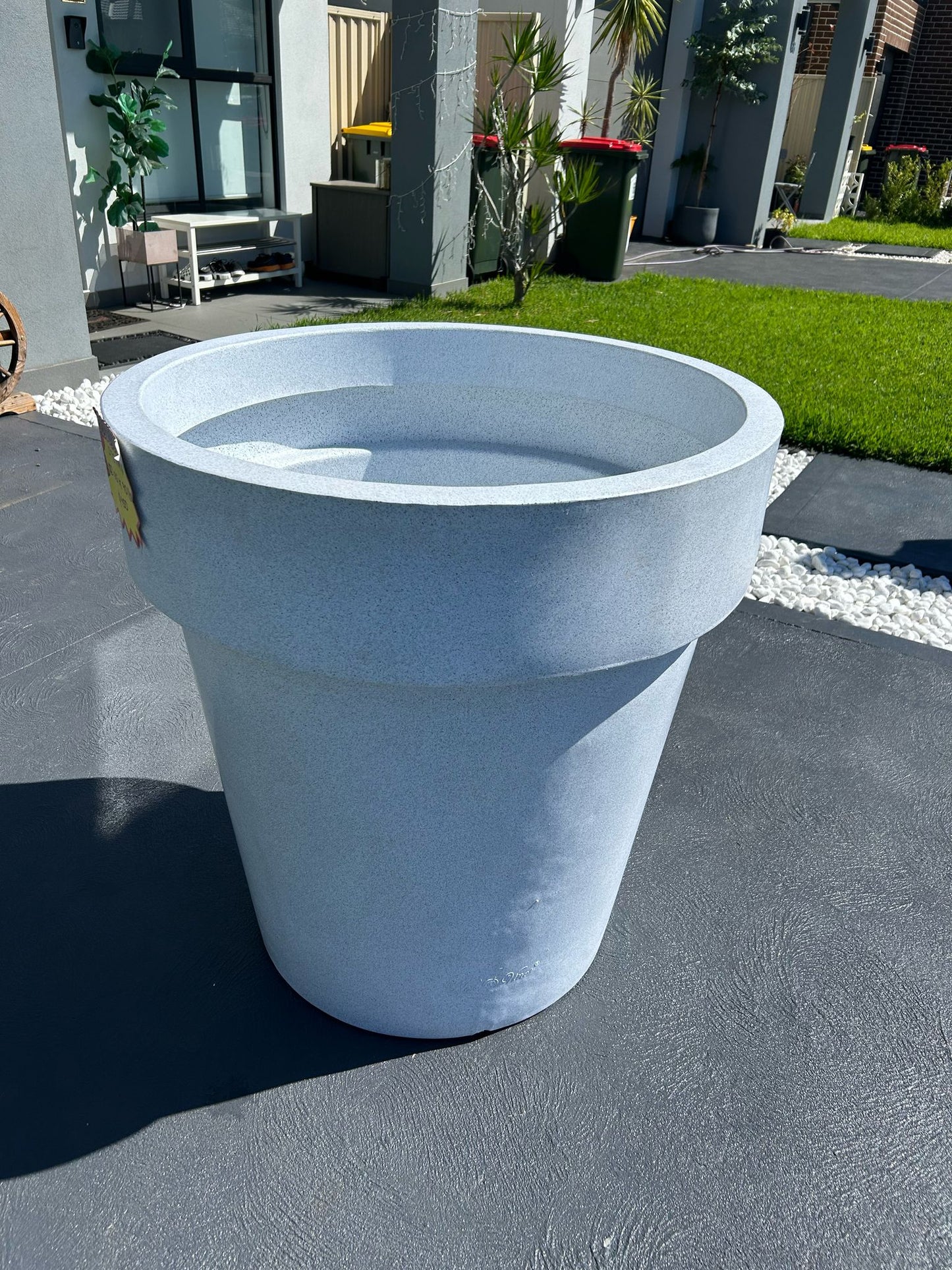 Stemma Planter - Elegant & magnificent crown like top Pot