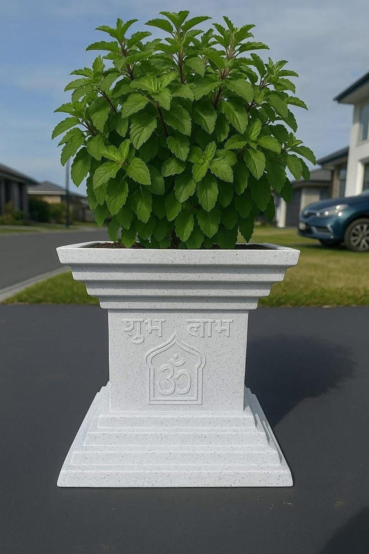 Tulsi Planter Pot Kyara
